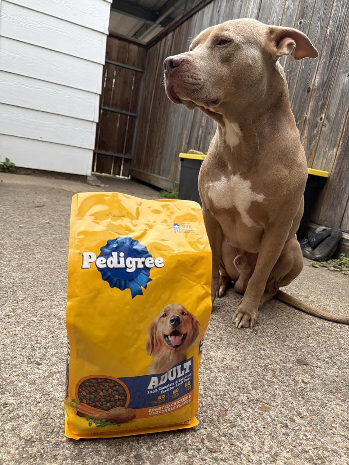 Pedigree Adult Dry Dog Food Review: Complete Nutrition with Roasted Chicken & Vegetable Flavor